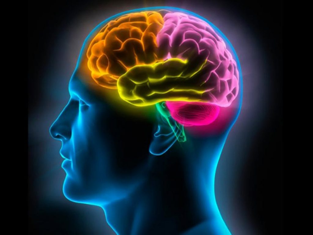 Tu cerebro se verá afectado cuerpo