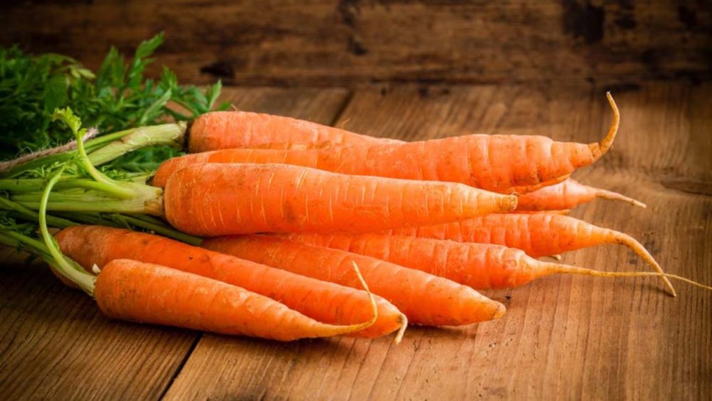 Zanahoria