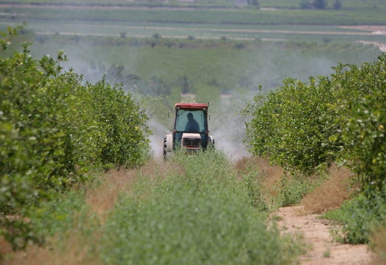 Saeca avaló más de 6.000 operaciones a agricultores y ganaderos en 2020