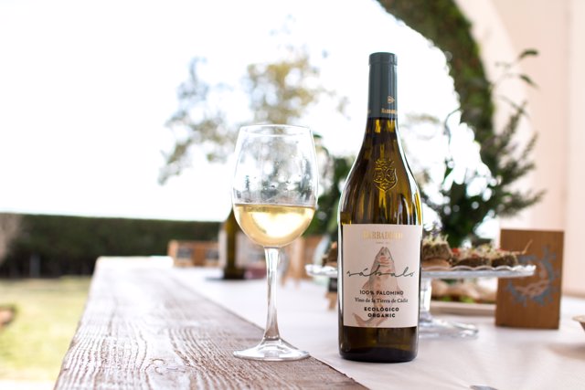 'Sábalo', de Barbadillo, vinos ecológicos con muy buen sabor.