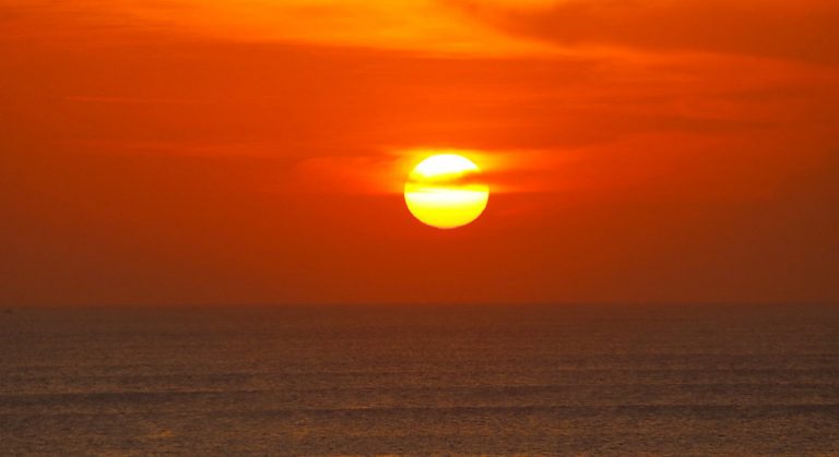 El clima más cálido puede generar mutaciones dañinas en los organismos