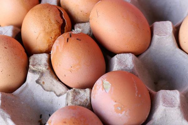 ¿Qué pasa si está dañado?