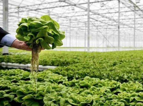 corta y pega genético