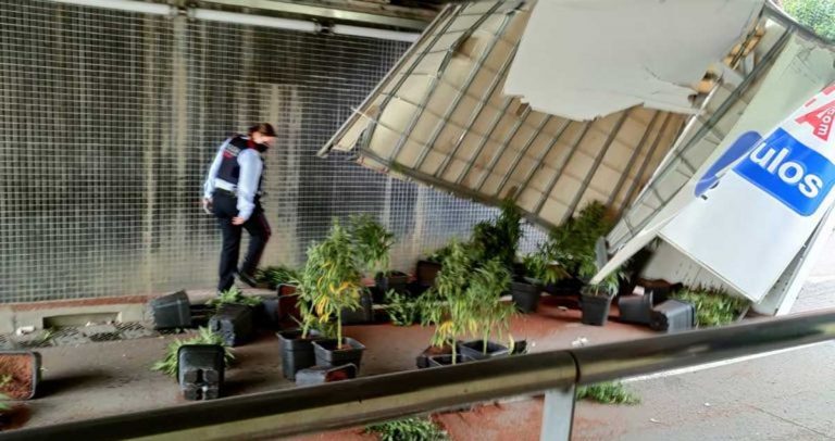 Un detenido tras estrellar su camión cargado de marihuana en Gavà