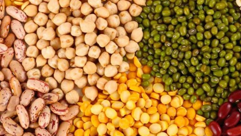 Identifican por primera vez un gen que controla el número de flores en las leguminosas