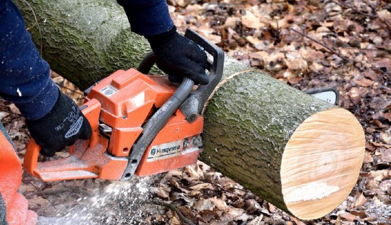 Cómo cortar un tronco con motosierra