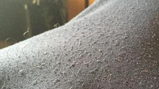 Manteniendo los jerséis de lana 'intactos'