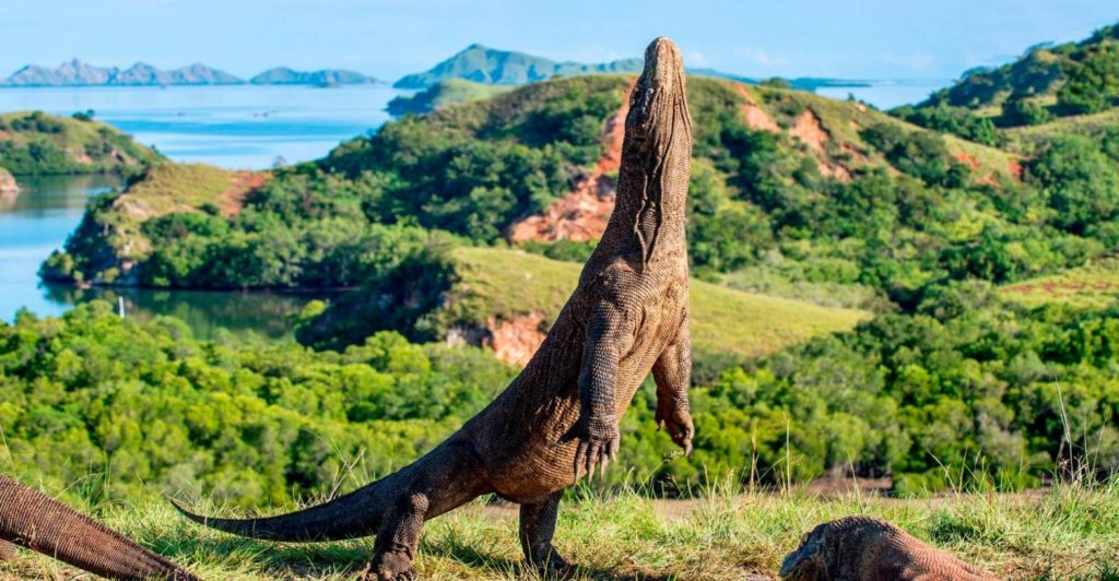 shutterstock 607427393 12823111 20191213155823