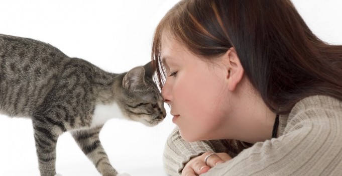 16 cosas increíbles que no sabías sobre los gatos 03