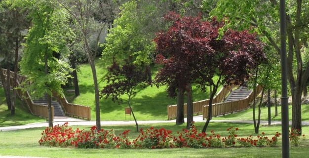 20 sitios especiales que visitar a menos de 30 minutos de Madrid 14