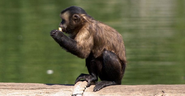 20 sitios especiales que visitar a menos de 30 minutos de Madrid 19