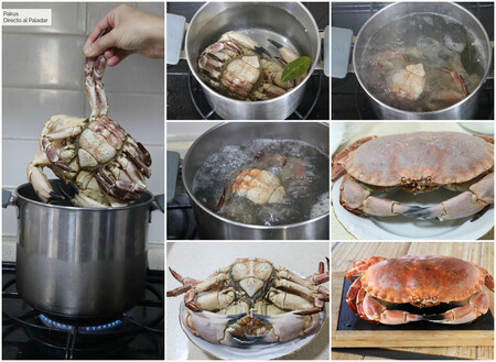 Las claves para cocer y preparar un buey de mar exquisito 32 Preparado para la olla