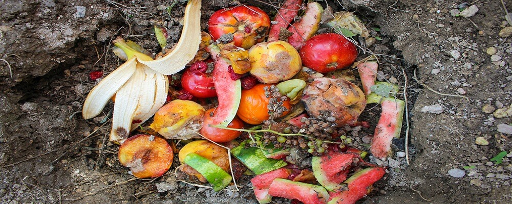 Cómo hacer fertilizante casero para tus plantas 207 ¿Cómo hacerlo casero y de forma sencilla?