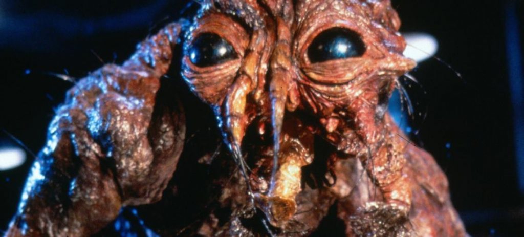 7 películas que te recomendamos para estrenar Star, el nuevo canal de Disney+ 20 La Mosca