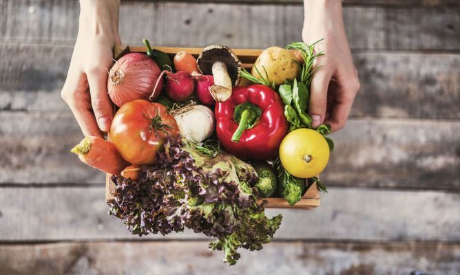 alimentos