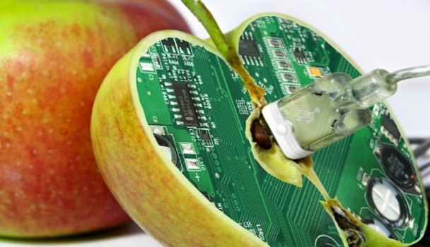 Alimentos que provocan cáncer 11