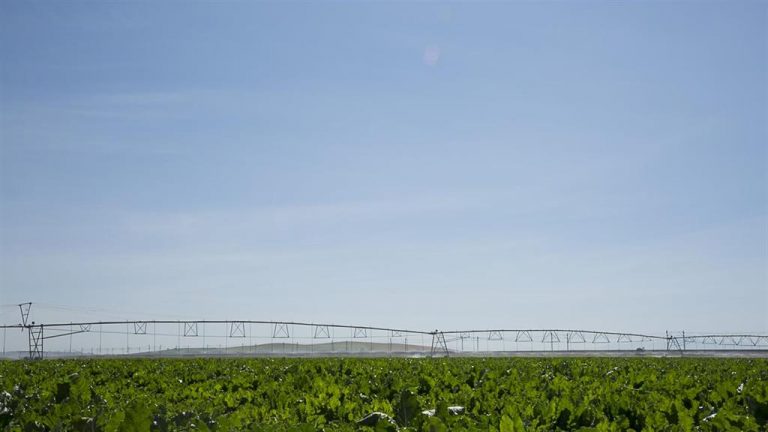 El Gobierno entrega a los regantes del Bajo Guadalquivir el derecho de riego de 15 mil hectáreas