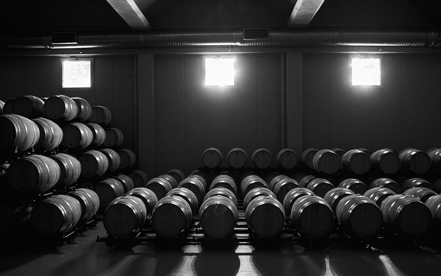 Vallegarcía: pasión, terroir y cuidado por el detalle 84 Vino de calidad