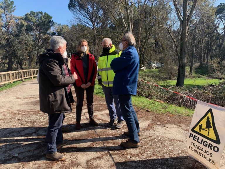 C. Madrid actuará sobre más de 600 hectáreas dañadas por la borrasca 'Filomena'