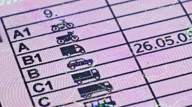 códigos carnet de conducir