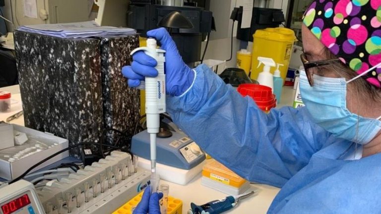 Canarias suma 4 fallecidos y 230 nuevos positivos en las últimas 24 horas