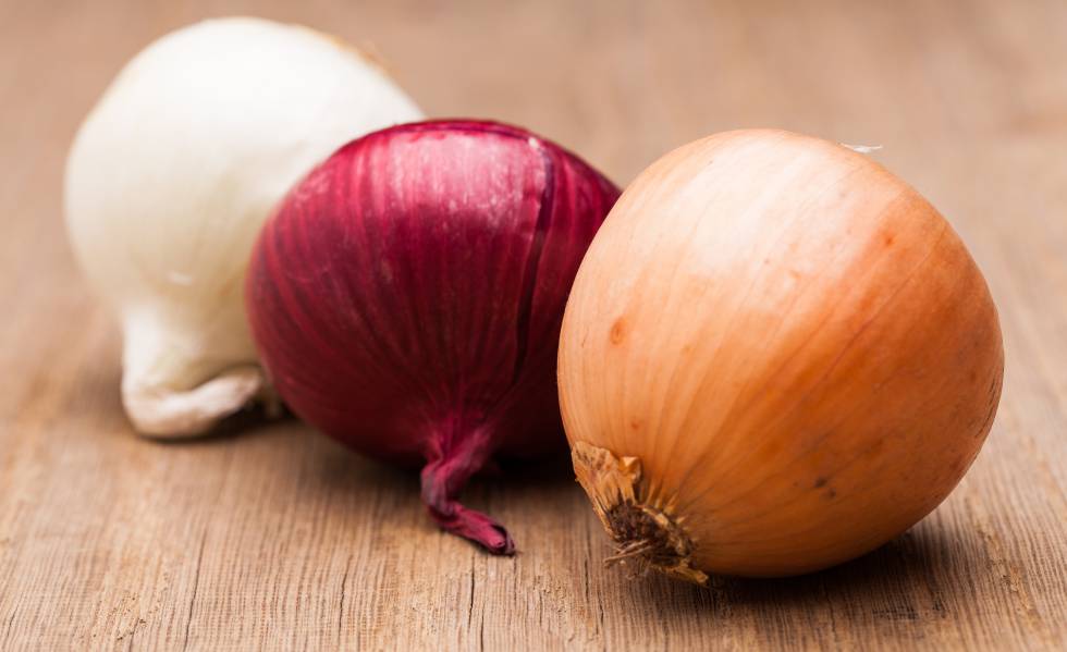 Cebolla