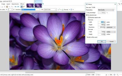 ¿Cómo cambiar la resolución con Paint?