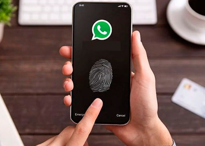 Como hacer videollamadas y llamadas desde WhatsApp web 5 1