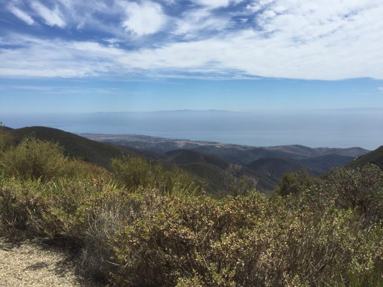 Ecologistas: El nuevo reglamento de baterías supondrá un 'boom' de la minería