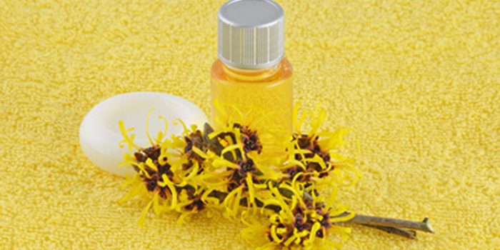 Cómo aliviar las hemorroides sin cremas 1 El hamamelis para aliviar las hemorroides