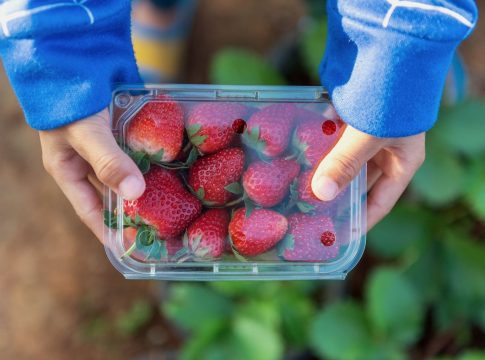 El secreto de los expertos para que las fresas duren más tiempo 1 El secreto de los expertos para que las fresas duren más tiempo