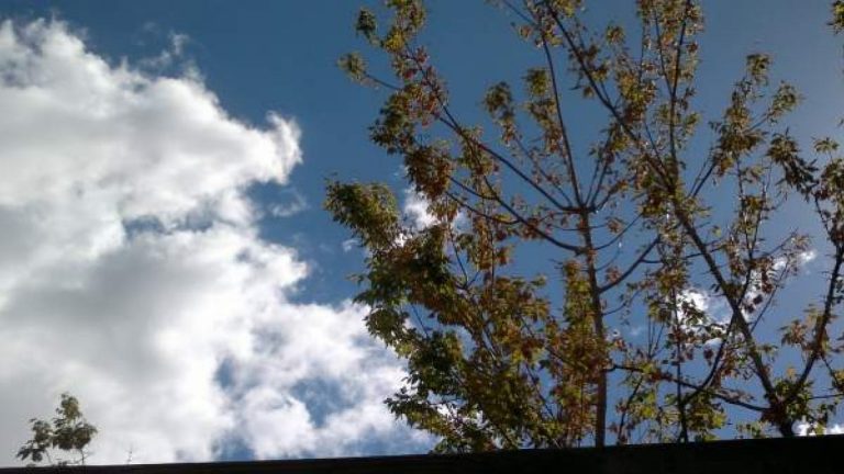 Marzo se despide con temperaturas altas para la época y 4 provincias en riesgo por olas y viento