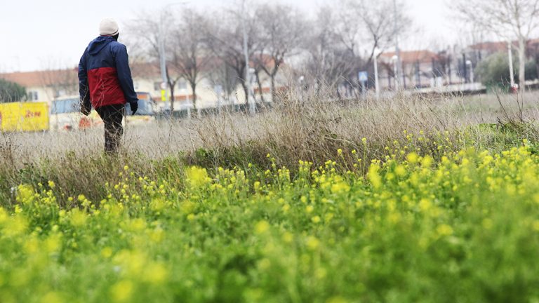 El tiempo seguirá estable pero con un gran contraste térmico