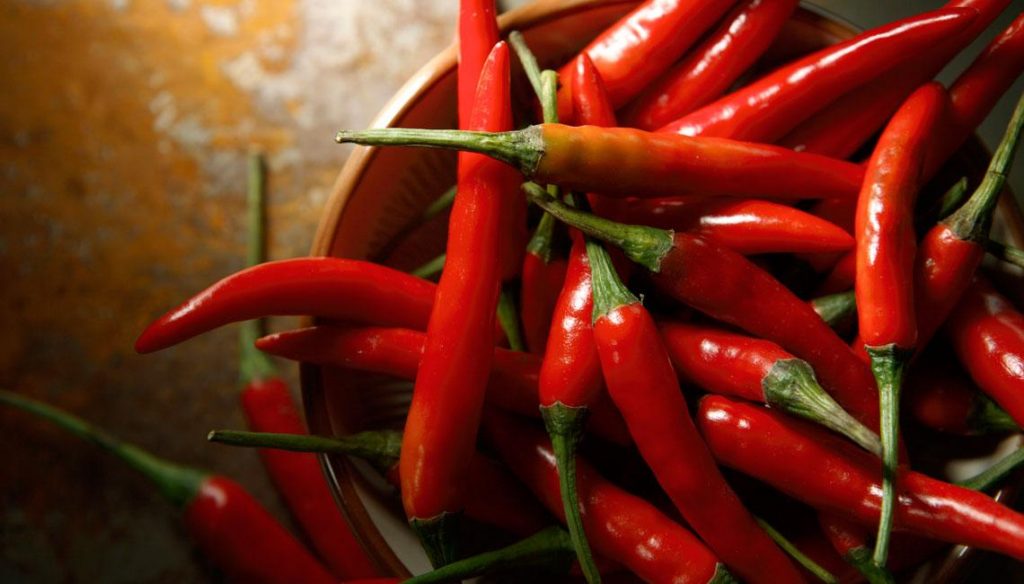 La guindilla, el ingrediente estrella
