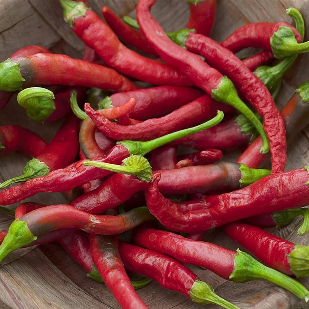 Intensidad del picor