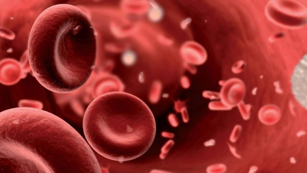 Enfermedades pro-trombóticas