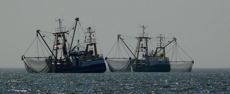 La flota artesanal gallega convoca un paro en rechazo al reglamento de control de la UE