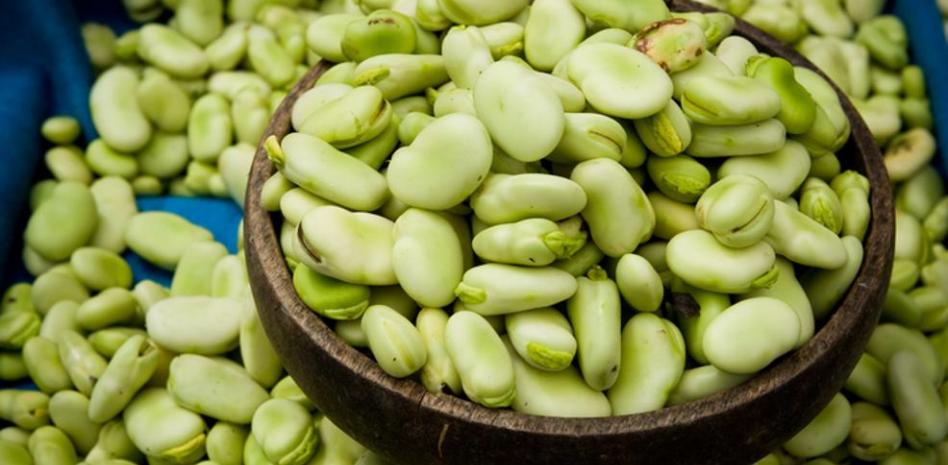 Las habas, frijoles o porotos