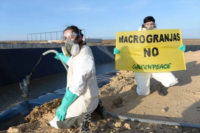 Greenpeace protesta en Navarra para exigir freno a la ganadería industrial