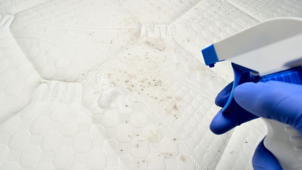Cómo limpiar un colchón 43 Datos a tener en cuenta