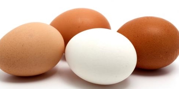 La misteriosa desaparición de los huevos blancos 01