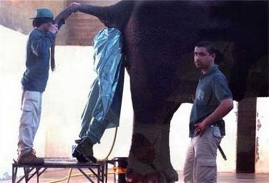 Los 10 peores trabajos del mundo (para que no te quejes del tuyo) 09
