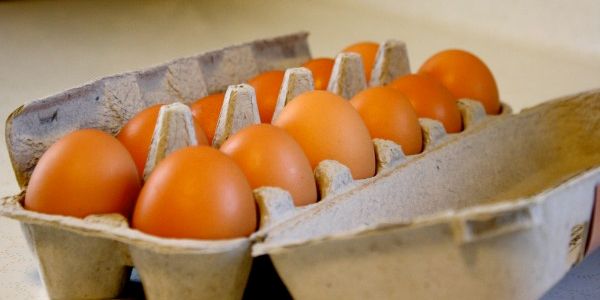 Los alimentos que sacian y no engordan 01