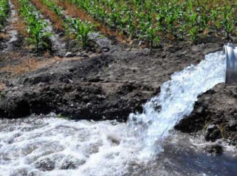 Los regantes del Júcar