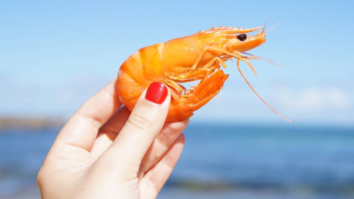 Gambas en todo el mundo