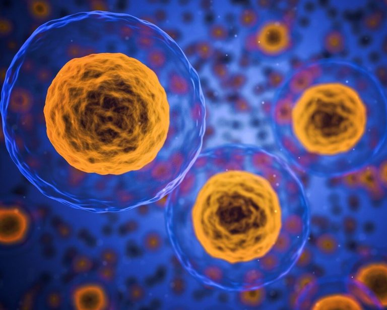 Qué es la autofagia