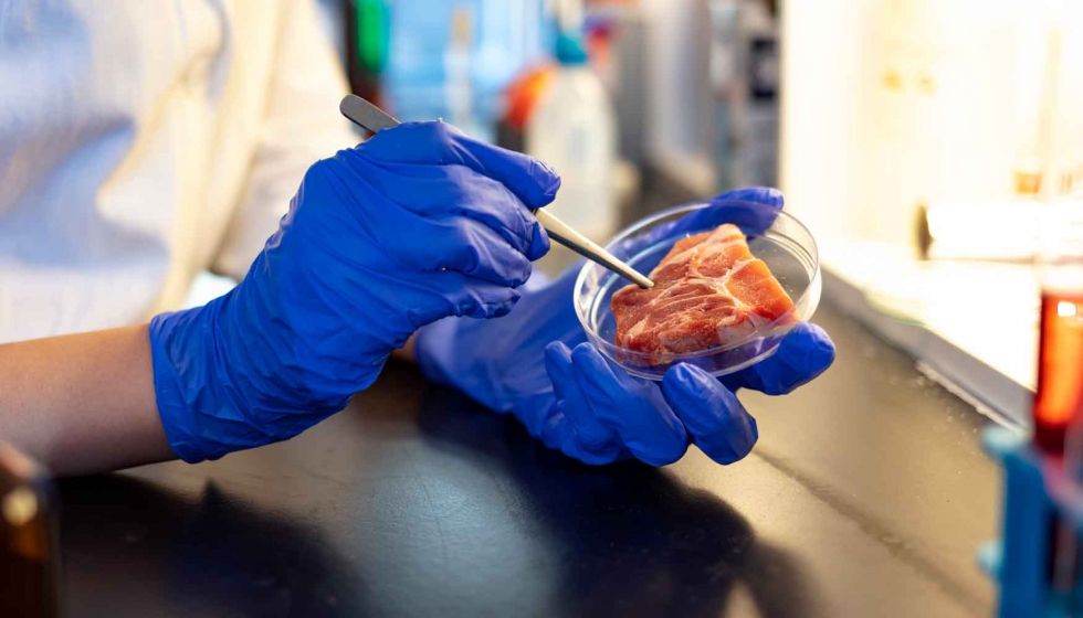 Qué es la carne celular 139 Qué es la carne celular