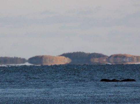 Qué es la fata morgana Qué es la fata morgana