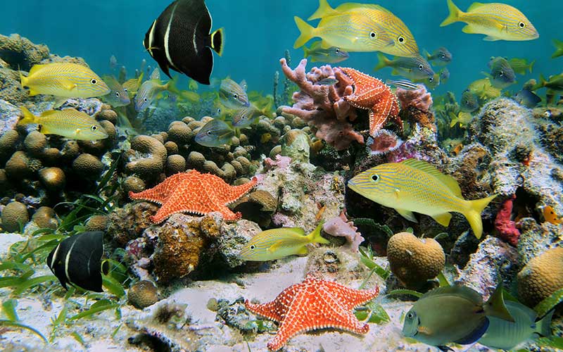 Que es un ecosistema 1