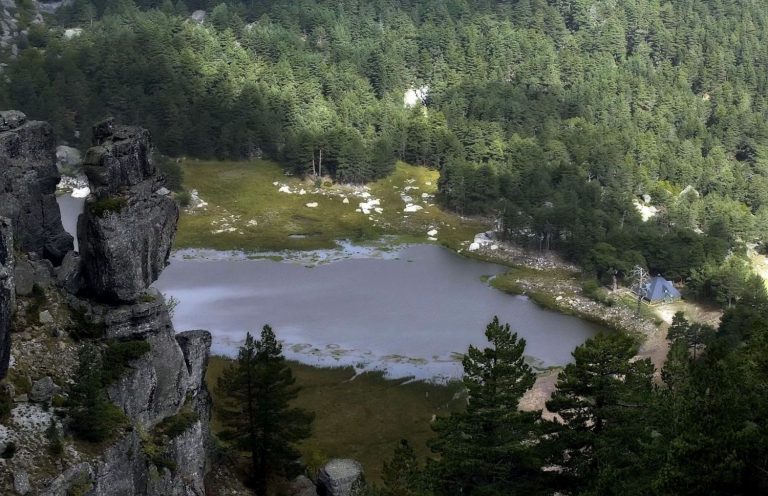 Qué es una reserva natural